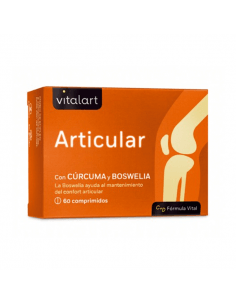 VITALART ARTICULAR 60 COMP